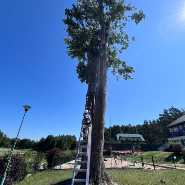 PHOTO-2025-08-25-12-16-18 10