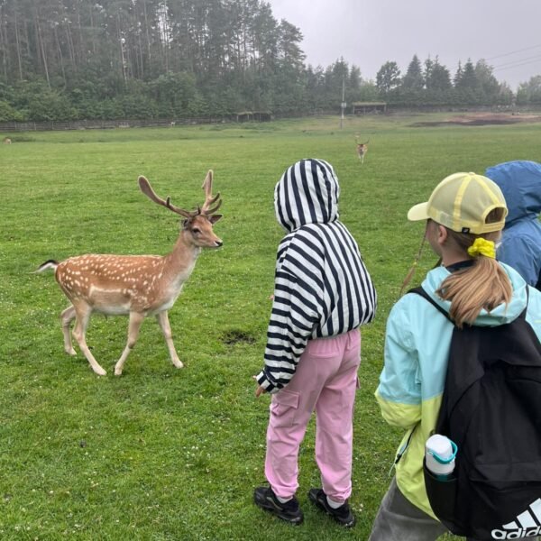 PHOTO-2025-08-25-12-16-18 7